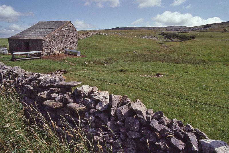 WT 3100 348-31 UK-3 1992.jpg